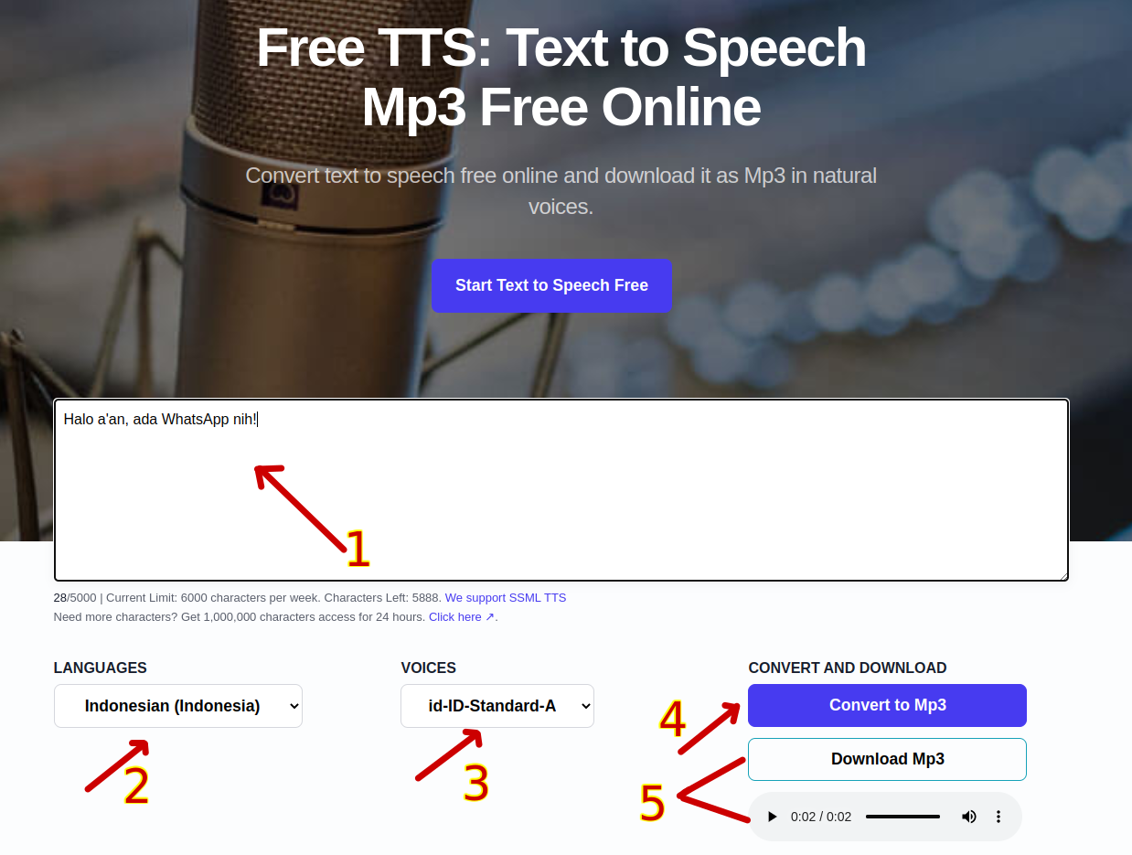 Mengubah teks ke suara menggunakan website Free TTS