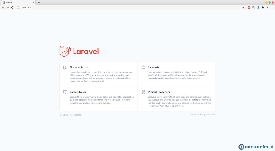Tampilan Default Project Laravel